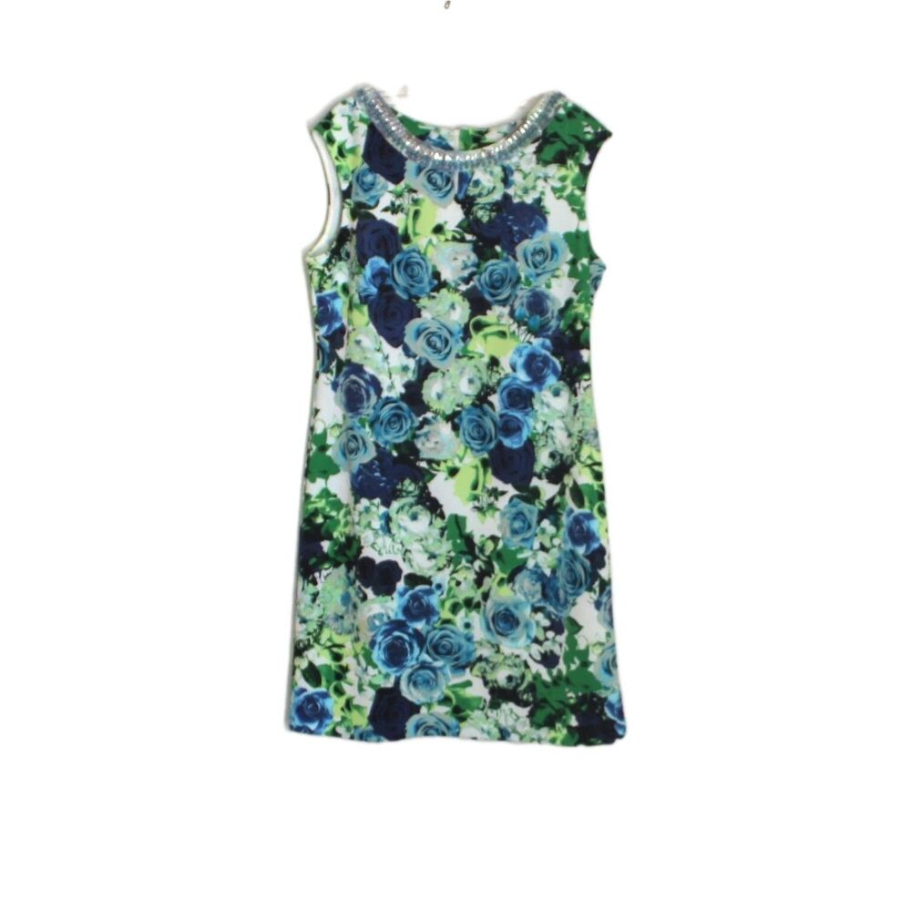 Covington Dress Floral Sheath Beaded Neckline Sleeveless Size 14